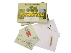 Гербарий "Культурные растения" (30 видов, с иллюстрациями) - fgospostavki.ru - Москва