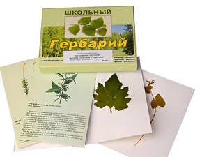 Гербарий "Систематика растений. Высшие споровые и семенные" (раздаточный) - fgospostavki.ru - Москва