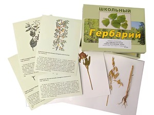 Гербарий "Систематика растений. Семейство Бобовые. Злаки" (раздаточный) - fgospostavki.ru - Москва