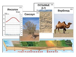 Модель-аппликация "Природные зоны" - fgospostavki.ru - Москва