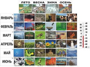 Фенологические наблюдения - fgospostavki.ru - Москва
