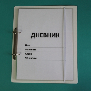 Дневник школьника (с полным набором карточек) - fgospostavki.ru - Москва