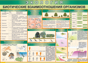 Таблица "Биотические взаимоотношения организмов" (100х140 сантиметров, винил) - fgospostavki.ru - Москва