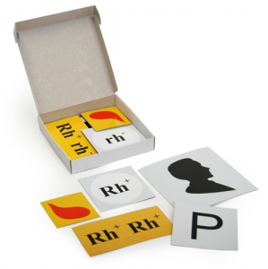 Модель-аппликация "Наследование резус-фактора" (набор из 19 карт) - fgospostavki.ru - Москва