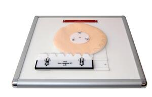 Комплекс "Изучение зубьев" - fgospostavki.ru - Москва