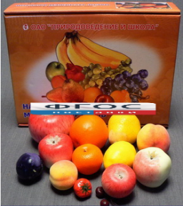 Набор муляжей фруктов (большой из 13 штук) - fgospostavki.ru - Москва