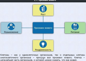 Интерактивные курсы. Биология 5 класс. Базовый - fgospostavki.ru - Москва