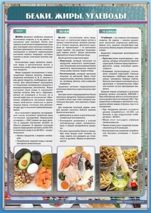 Стенд "Белки. Жиры. Углеводы" - fgospostavki.ru - Москва