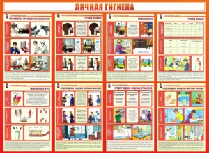 Стенд "Личная гигиена" - fgospostavki.ru - Москва