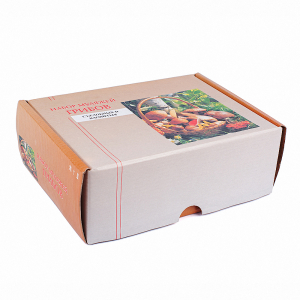 Набор муляжей грибов съедобных и ядовитых - fgospostavki.ru - Москва