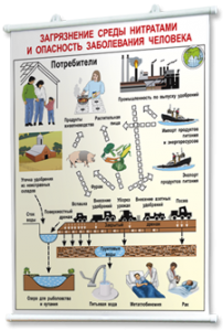 Плакаты по общей экологии для оформления кабинета. - fgospostavki.ru - Москва