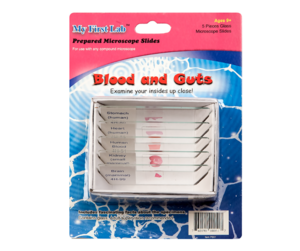 Набор микропрепаратов для микроскопа №1 «Человек» - fgospostavki.ru - Москва