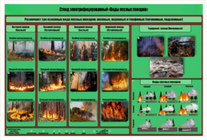 Стенд-планшет электрифицированный «Виды лесных пожаров»  - fgospostavki.ru - Москва