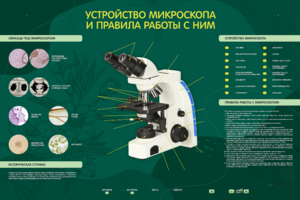 Электрифицированный стенд "Устройство микроскопа и правила работы c ним" - fgospostavki.ru - Москва