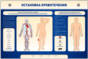 Электрифицированный стенд-тренажер "Остановка кровотечения" - fgospostavki.ru - Москва
