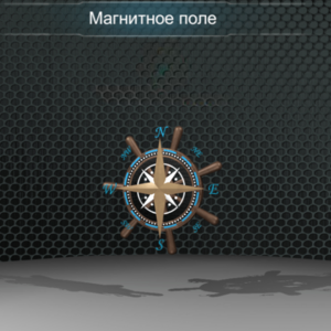 Виртуальная работа «Магнитное поле Земли» - fgospostavki.ru - Москва