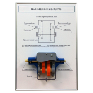 Плакат планшет с демонстрационной моделью «Цилиндрический редуктор» - fgospostavki.ru - Москва