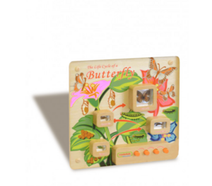 Панель «Жизненный цикл бабочки» - fgospostavki.ru - Москва