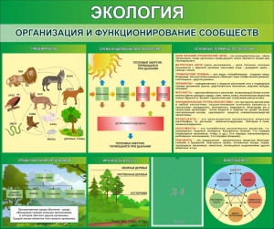 Стенд "Экология. Организация и функционирование сообществ" - fgospostavki.ru - Москва