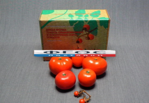 Набор муляжей "Дикая форма и культурные сорта томатов" - fgospostavki.ru - Москва