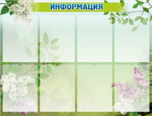 Стенд "Информация" Вариант 13 - fgospostavki.ru - Москва