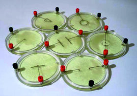 Демонстрационный комплект «Силовые линии электрического поля разных систем зарядов» - fgospostavki.ru - Москва