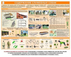 Комплект плакатов "Кинология" - fgospostavki.ru - Москва