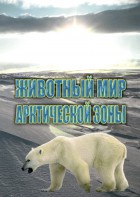 DVD "Животный мир Арктической зоны" - fgospostavki.ru - Москва