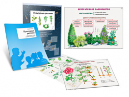 Комплект кодотранспарантов "Культурные растения" - fgospostavki.ru - Москва