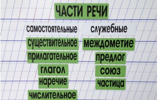 Набор магнитных карточек "Части речи" (фон зелёный) - fgospostavki.ru - Москва