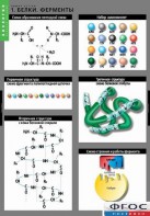 Комплект таблиц. Биология. Химия клетки. - fgospostavki.ru - Москва