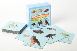 Набор магнитных карточек "Устный счет" (фон голубой) - fgospostavki.ru - Москва