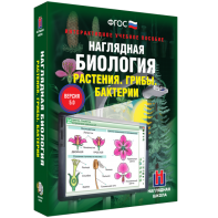Наглядная биология. 6 класс. Растения. Грибы. Бактерии - fgospostavki.ru - Москва