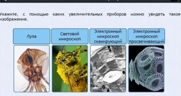 Интерактивные курсы. Биология 5 класс. Расширенный - fgospostavki.ru - Москва