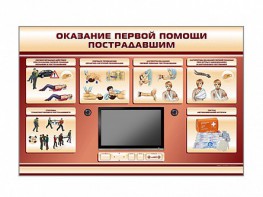 Многофункциональный интерактивный стенд-тренажер "Оказание первой помощи пострадавшим" для учащихся общеобразовательных учреждений - fgospostavki.ru - Москва