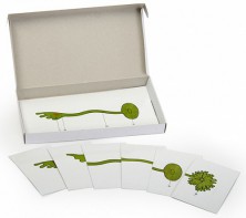 Модель-аппликация "Роль ядра в регуляции развития организма" (набор из 8 карт) - fgospostavki.ru - Москва