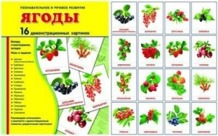 Демонстрационные карточки "Ягоды" - fgospostavki.ru - Москва