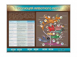 Интерактивный электрифицированный стенд "Эволюция животного мира" - fgospostavki.ru - Москва