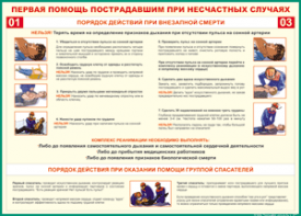 Таблица "Порядок действий при внезапной смерти" (100х140 сантиметров, винил) - fgospostavki.ru - Москва