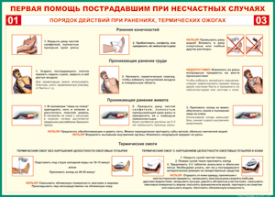Таблица "Порядок действий при ранениях и термических ожогах" (100х140 сантиметров, винил) - fgospostavki.ru - Москва