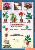 Комплект таблиц. Окружающий мир 1 класс. - fgospostavki.ru - Москва