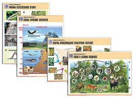 Комплект таблиц по биологии демонстрационных "Общая биология 2" (14 таблиц, формат А1, ламинированные) - fgospostavki.ru - Москва