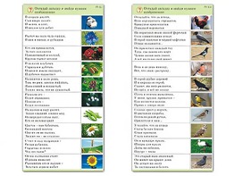 Комплект карточек (10) "Обучающий калейдоскоп. Природа" - fgospostavki.ru - Москва