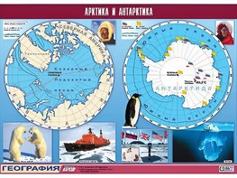 Таблица демонстрационная "Арктика и Антарктика" (винил 100*140) - fgospostavki.ru - Москва