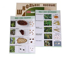 Коллекция "Шишки, плоды, семена деревьев и кустарников" - fgospostavki.ru - Москва