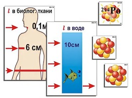 Модель-аппликация "Явление радиоактивности" (ламинированная) - fgospostavki.ru - Москва