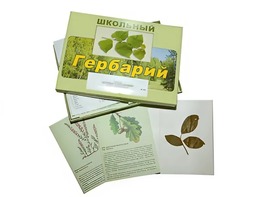 Гербарий "Дикорастущие растения" (30 видов, с иллюстрациями) - fgospostavki.ru - Москва