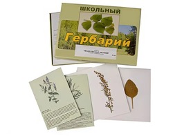 Гербарий "Лекарственные растения" (22 вида с иллюстрациями) - fgospostavki.ru - Москва