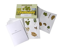 Гербарий "Морфология растений" (6 тем, 30 видов) - fgospostavki.ru - Москва