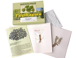 Гербарий "Водоросли. Грибы. Лишайники" (раздаточный) - fgospostavki.ru - Москва